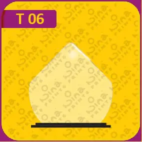 جوائز نينا المطبوعة 06