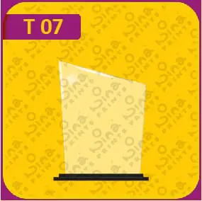 جوائز نينا المطبوعة 07