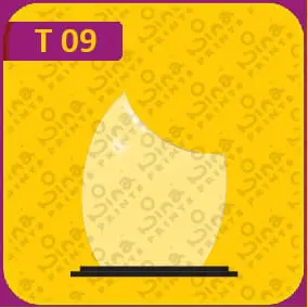 جوائز نينا المطبوعة 09