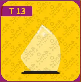 جوائز نينا المطبوعة 13