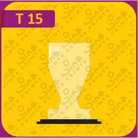 جوائز نينا المطبوعة 15