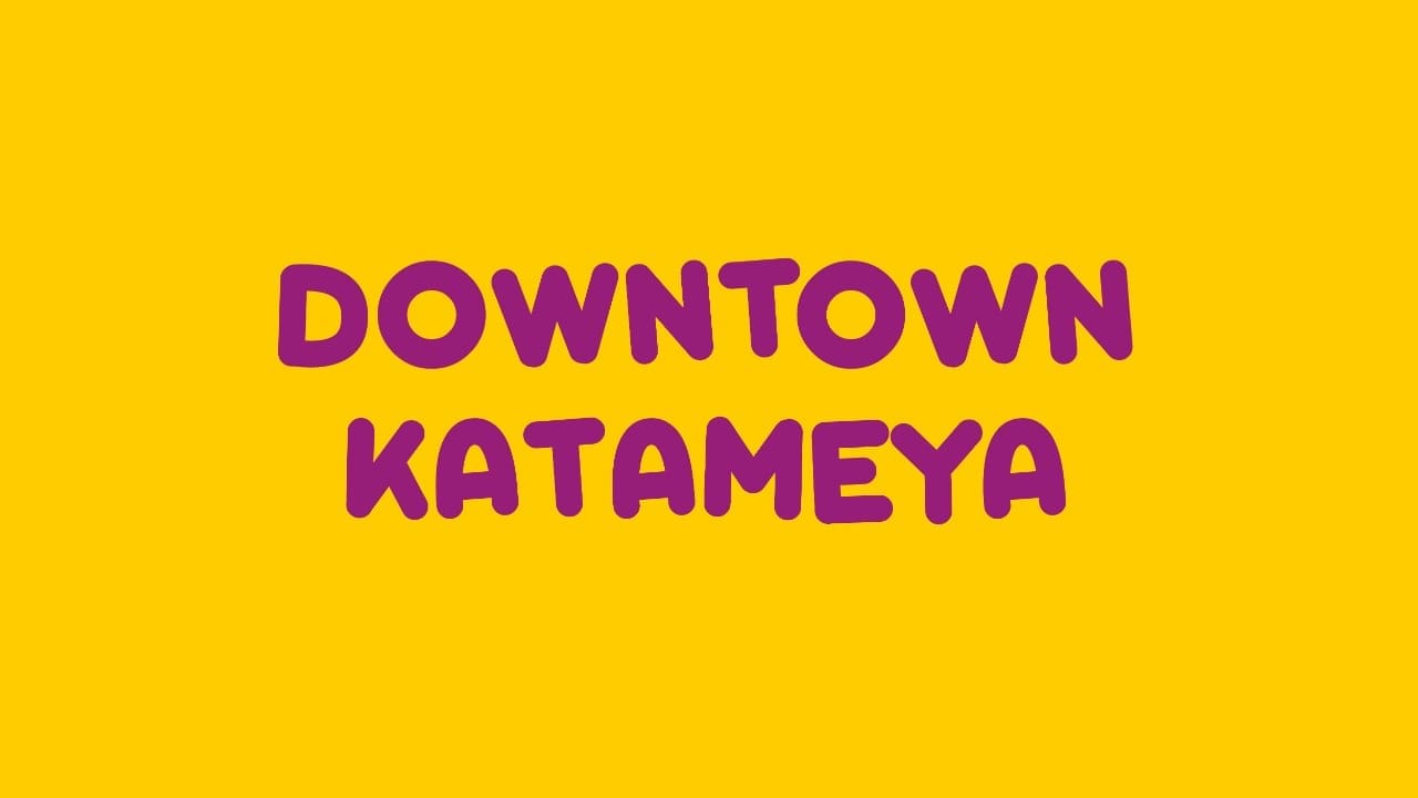 nina prints Downtown Katameya Branch location