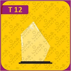 nina prints Trophies 12